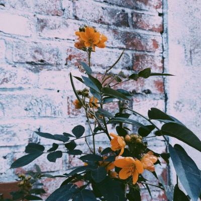 开云·体育(KYSports)