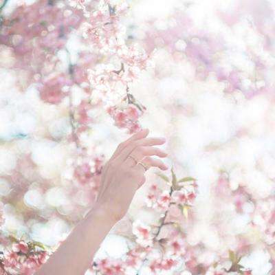 爱体育官方网站手机app下载